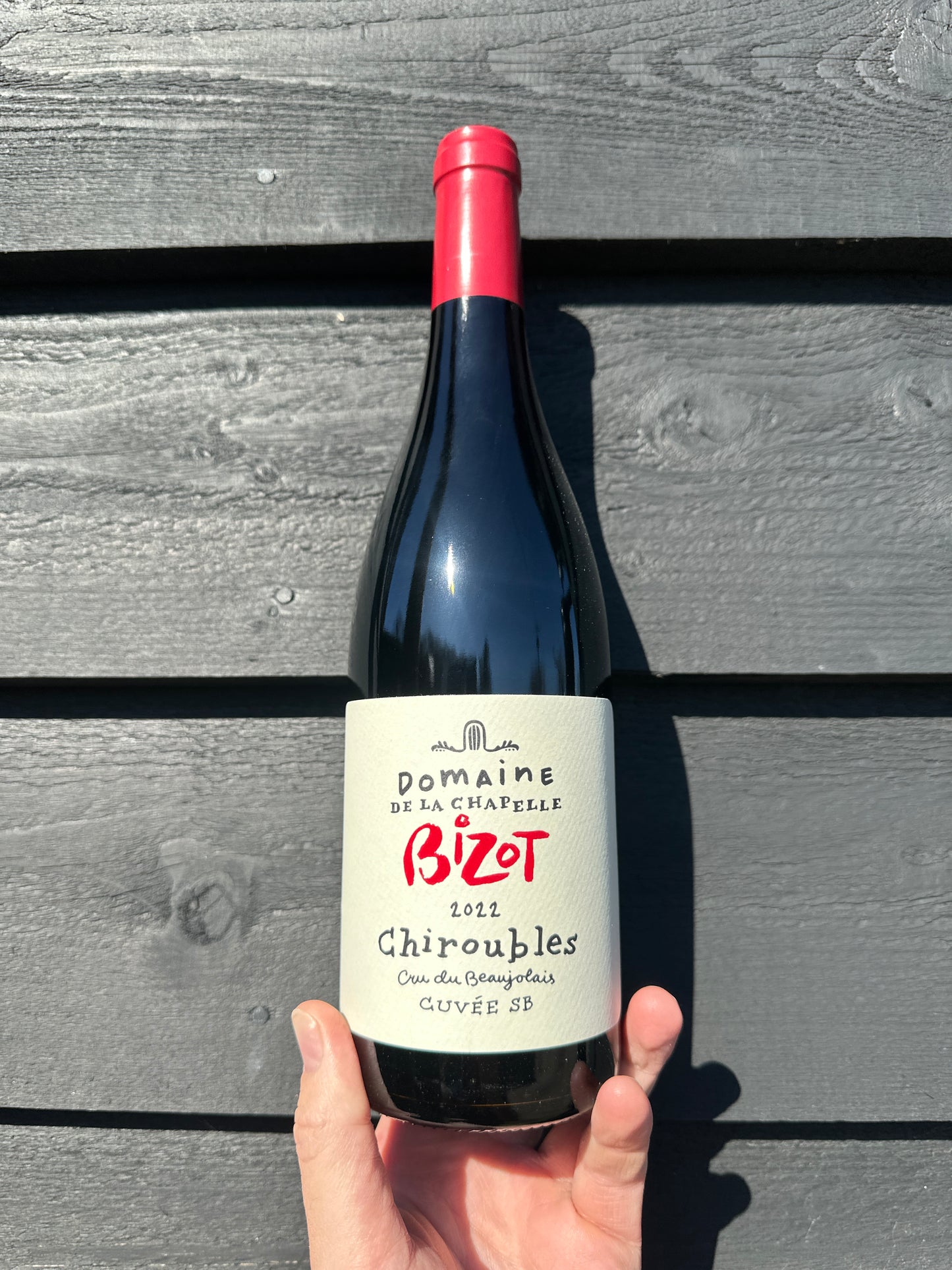 Domain Bizot Chiroubles 2021