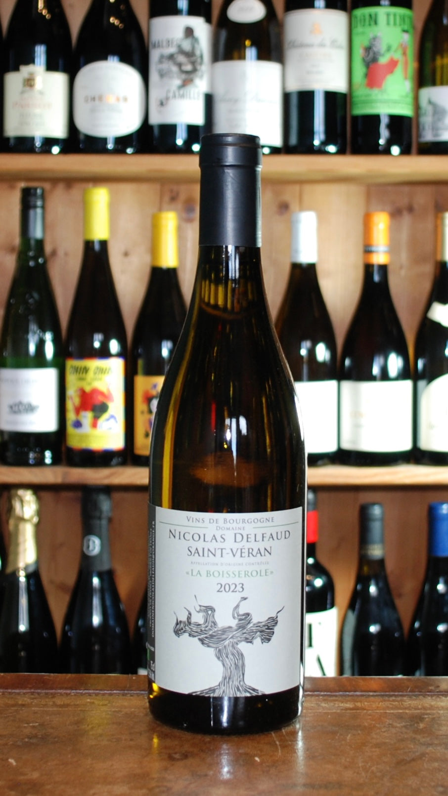 Nicolas Delfaud Saint-Veran 2023