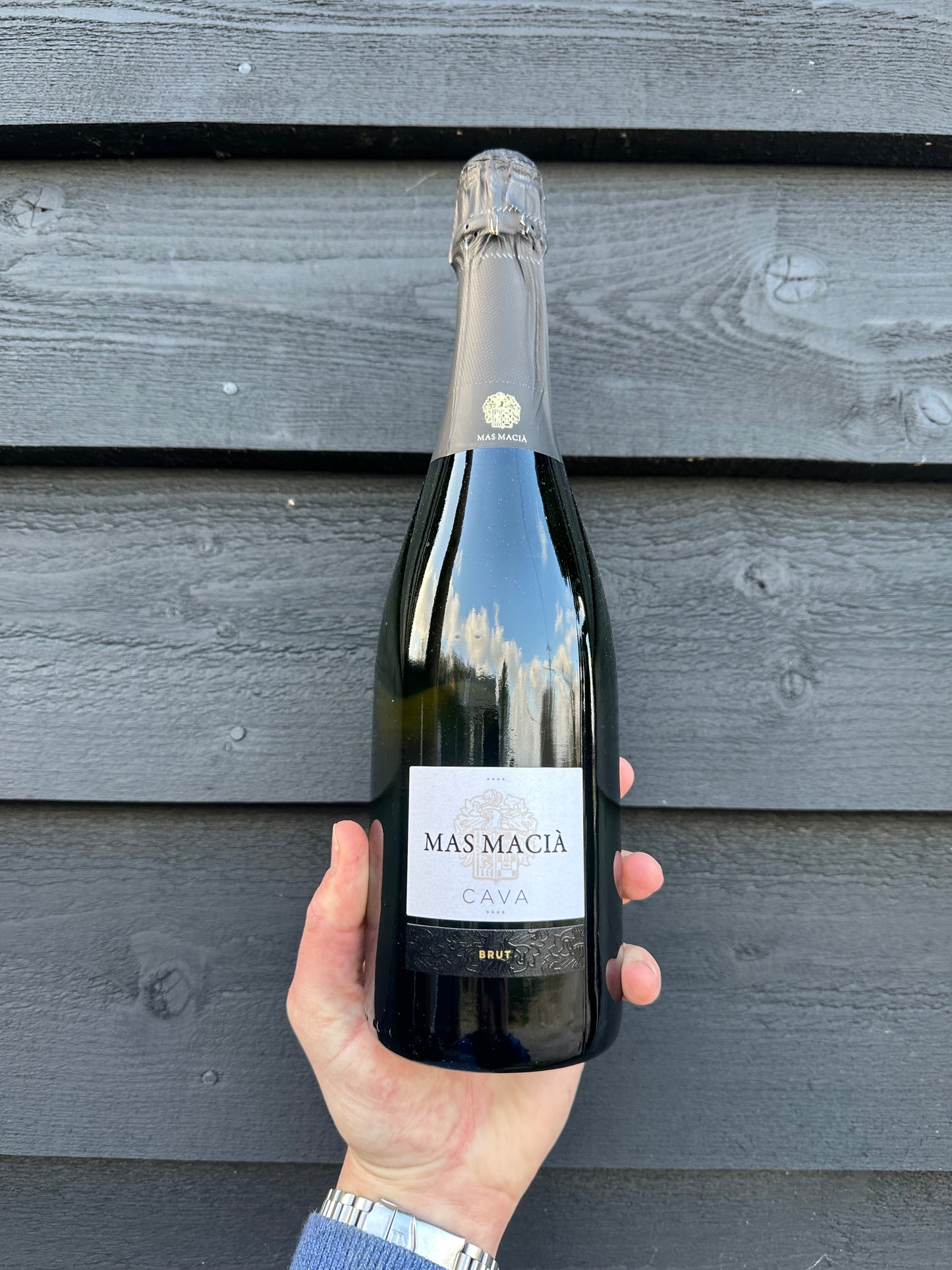 Mas Macia Cava NV