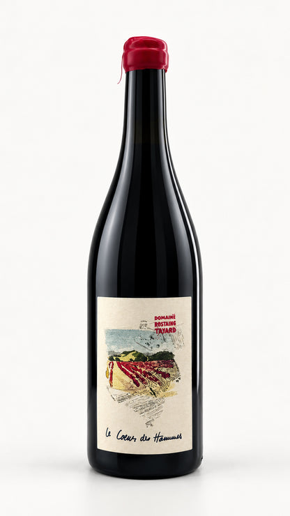Domaine Rostaing Tayard, ‘Couer Des Hommes’, Coteaux de Lyonnaise, 2023