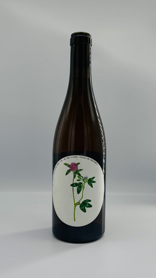 Field Blend, Ham Street, 2023