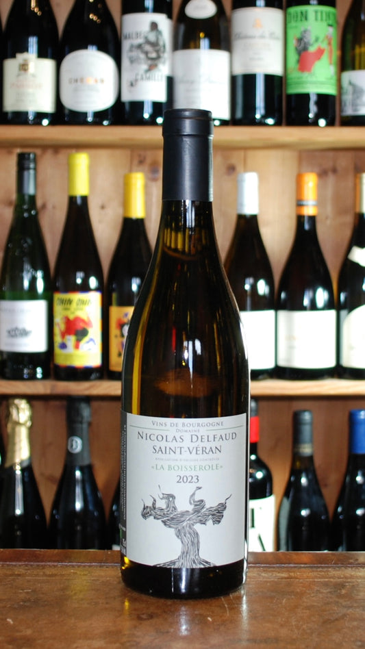 Nicolas Delfaud Saint-Veran 2023