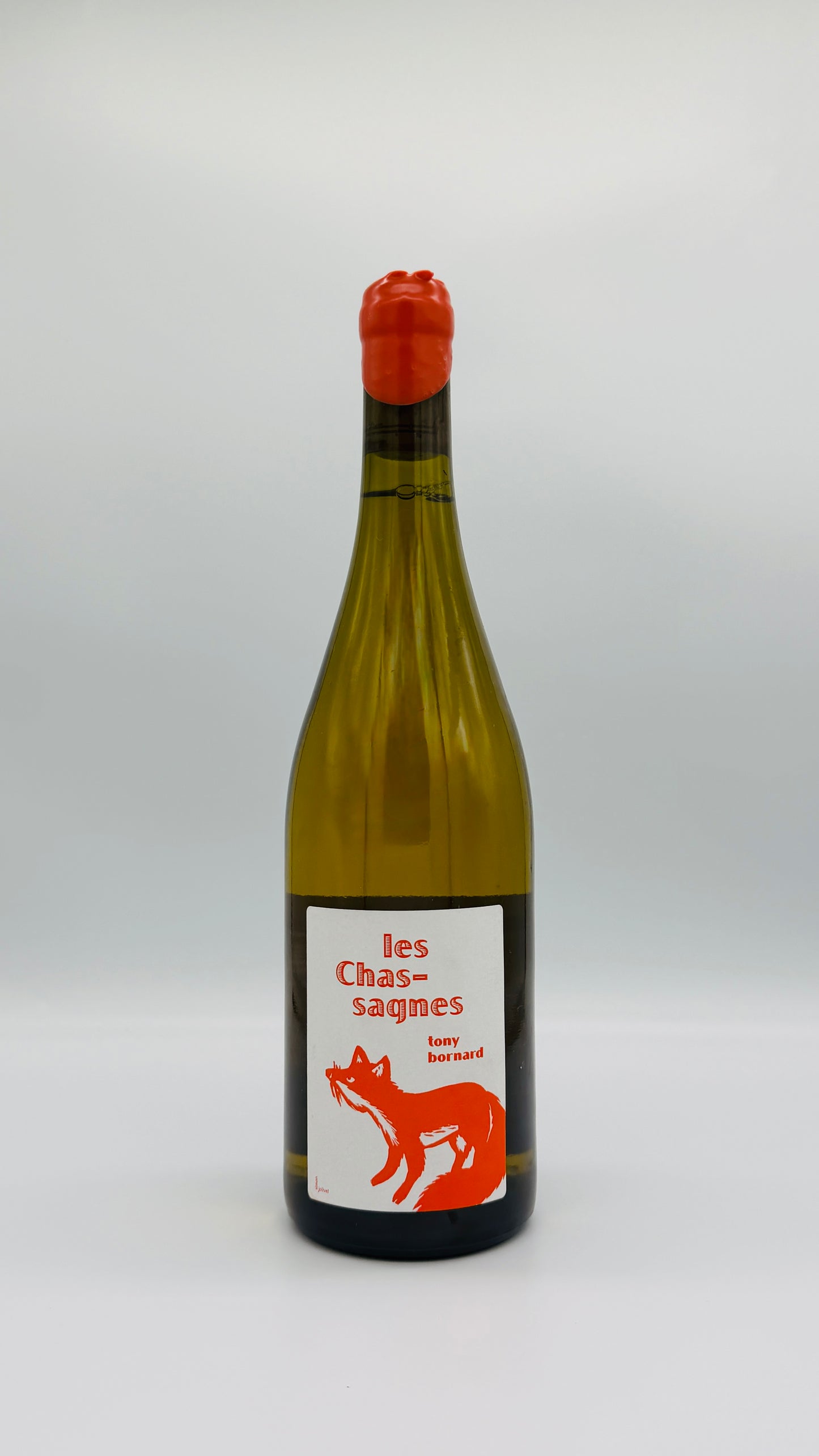 Tony Bornard, ‘Les Chassagnes’, Jura, 2021