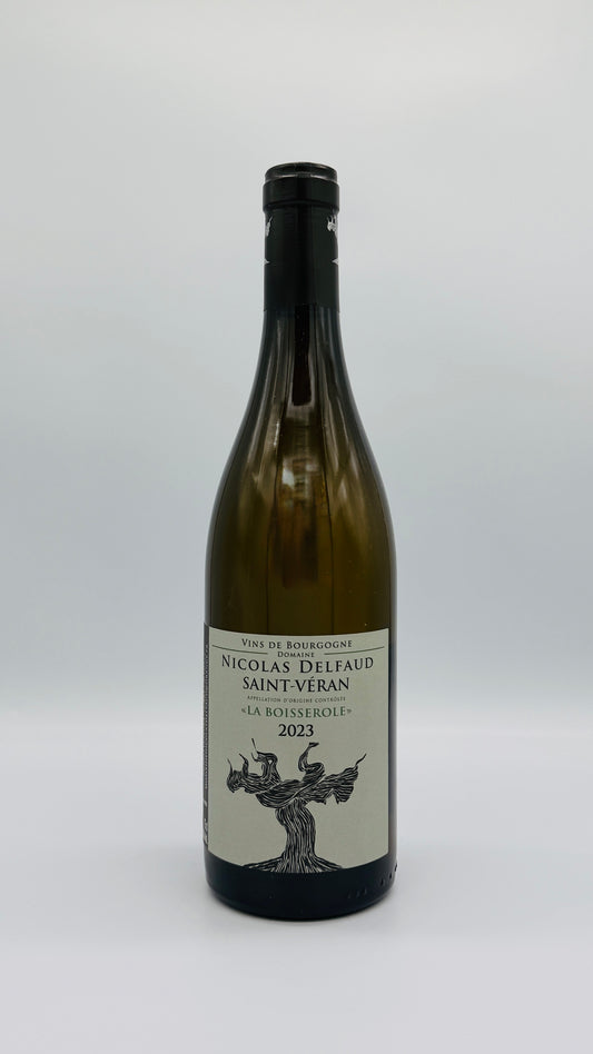 Nicolas Delfaud Saint-Veran